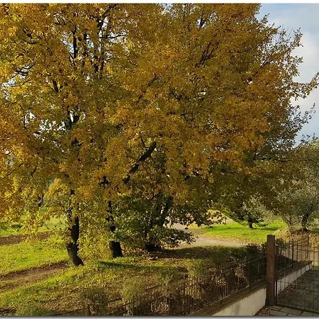 Вілла Il Villino Di Кортона